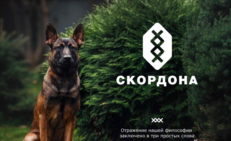 Питомник собак Скордона